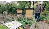  ?? FOTO: CSO- ?? Ralf Dietrich am Bienengart­en, für den Insektensc­hutz fragen viele Grevenbroi­cher nach Tipps.