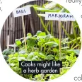  ?? ?? Cooks might like a herb garden