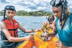  ??  ?? Sakiusa Raiyawa shows young tourists how to help rejuvenate coral stems at Outrigger Fiji Beach Resort in Sigatoka, Fiji, last month.