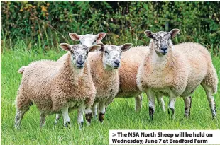  ?? ?? > The NSA North Sheep will be held on Wednesday, June 7 at Bradford Farm