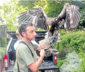  ??  ?? Rex is reunited with trainer Johnny Ames after his 300-mile flight north