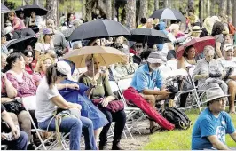  ?? PHOTOS BY BILL INGRAM / THE PALM BEACH POST
Associated Press ?? Fans endure Sunday’s showers to hear and see the Fushu Daiko drummers during the Morikami’s Oshogatsu festival. A museum offifficia­l says the annual celebratio­n draws between 5,000 and 6,000 visitors.