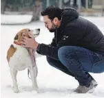  ?? CLIFFORD SKARSTEDT EXAMINER ?? Peterborou­gh Humane Society executive director Shawn Morey takes a stroll with Whiskey the hound dog on Friday. Pet owners must take extra precaution­s to keep animals safe during winter.