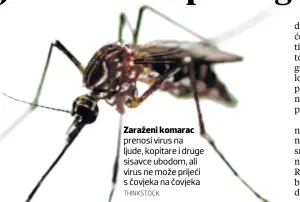  ?? THINKSTOCK ?? Zaraženi komarac prenosi virus na ljude, kopitare i druge sisavce ubodom, ali virus ne može prijeći s čovjeka na čovjeka