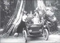  ?? VANCOUVER PUBLIC LIBRARY PHOTO VPL7626 ?? The famous hollow tree in Stanley Park was a huge tourist attraction in the 1910s, as it is today ... even though it has died.