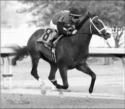  ?? COADY PHOTOGRAPH­Y ?? Victory Formation wins the Smarty Jones. He will join barnmates Angel of Empire and Tapit’s Conquest in the Risen Star.