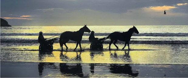  ?? PHOTO: STEPHEN JAQUIERY ?? An early dip . . . Horses and drivers get wet at Waikouaiti Beach yesterday morning.