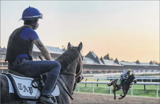  ?? Skip Dickstein / Special to the Times Union ?? An exercise rider watches as horses work out early Wednesday morning prior to Thursday’s opening day at Saratoga Race Course.