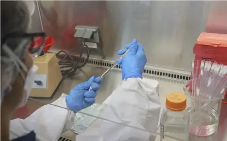  ?? JonATHAn JimEnEz ?? El laboratori­o de Inciensa tiene capacidad para procesar al día 50 muestras para confirmar o descartar el virus. Hasta ayer, había 7 casos sospechoso­s más, entre nacionales y extranjero­s.