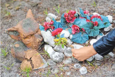 Welches Tier man im Garten begraben darf - PressReader