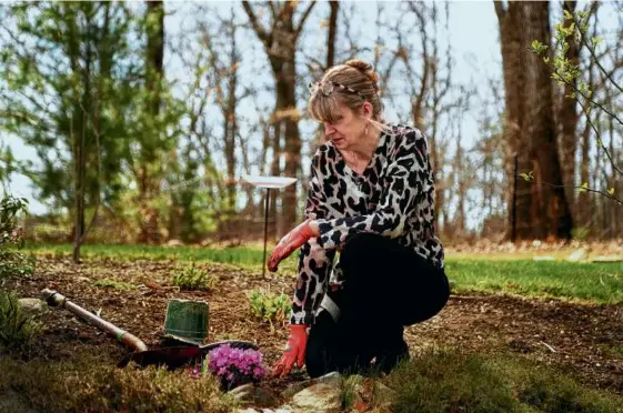  ?? JOHN TLUMACKI/GLOBE STAFF ?? Cheryl Kulacz planted flowers in her backyard in memory of her son, Curran. He died two years ago from a drug overdose.