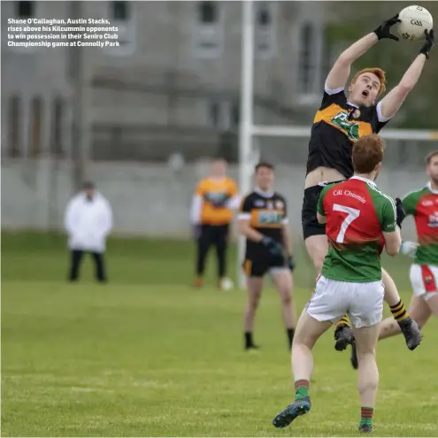  ??  ?? Shane O’Callaghan, Austin Stacks, rises above his Kilcummin opponents to win possession in their Seniro Club Championsh­ip game at Connolly Park