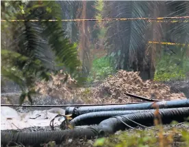  ?? COLPRENSA ?? Aspecto de la emergencia ambiental por derrame de petróleo en Santander.