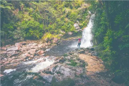  ??  ?? Abel Tasman National Park, with wonders such as the Wainui Falls (above), is a popular destinatio­n.