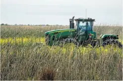  ??  ?? Protection of areas like the San Luis National Wildlife Refuge in Merced County would get less emphasis under the proposed bill.