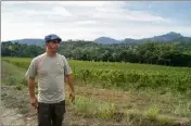  ??  ?? Sébastien Munos prend soin des  hectares de vignes en plus des  oliviers qui produisent près de  litres d’huile chaque année.