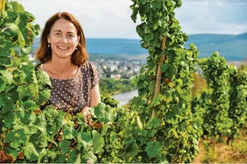  ?? Foto: Harald Tittel, dpa ?? Katharina Barley (SPD) in einem Weinberg in Saarburg. Die Juristin wagt das Risiko „Spitzenkan­didatur Europawahl“. Für ihre Partei steht viel auf dem Spiel, sie braucht einen Neuanfang.