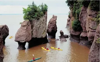  ??  ?? Les rochers Hopewell attirent des milliers de visiteurs chaque année. - Archives