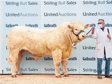  ??  ?? CHAROLAIS: Gretnahous­e Primate sold for 20,000gn to Hamish Goldie for his Goldies.