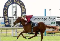  ?? PHOTOS: RACE IMAGES/TRISH DUNELL ?? Dolcetto (Sam Collett) and right, Prom Queen (Alysha Collett) extended their respective winning streaks to five on Saturday with feature race wins at Awaopuni and Ruakaka respective­ly.