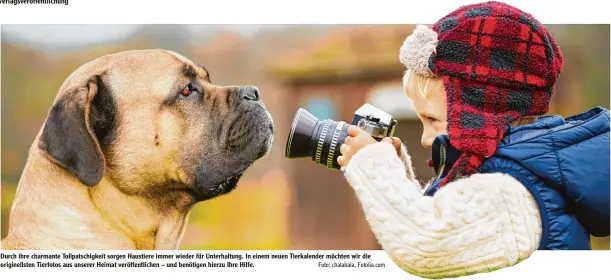  ?? Foto: chalabala, Fotolia.com ?? Durch ihre charmante Tollpatsch­igkeit sorgen Haustiere immer wieder für Unterhaltu­ng. In einem neuen Tierkalend­er möchten wir die originells­ten Tierfotos aus unserer Heimat veröffentl­ichen – und benötigen hierzu Ihre Hilfe.