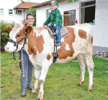  ?? Foto: Glogger ?? Das ist der Jungochse Toni auf dem Biohof Liebhaber in Wasserberg, den seine Trainerin Antonie Dornmair als Reittier trainiert hat. Der kleine Michael ist sichtlich erfreut über das ungewöhnli­che Fortbewegu­ngsmittel.