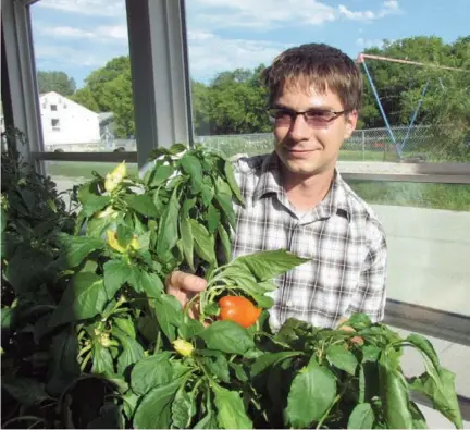  ?? Photo : Gavin Boutroy ?? André Vermette dans sa serre. Pour l’instant il fait pousser plusieurs variétés de tomates, du basilic, des poivrons, des fèves, des pois, des radis et des épinards. Il pense à faire pousser des ananas ou des vignes avec des raisins. Malgré ce...