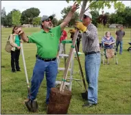  ?? MIKE BUSH/NEWS-SENTINEL ?? Paul Dutra, president of Tree Lodi, and Don Mehlhaff, son-inlaw of Joyce Harmon, who recently retired from Tree Lodi, get ready to plant a tree at Henry Glaves Park on Saturday morning. The tree is part of “Joyce’s Grove,” named for Harmon.