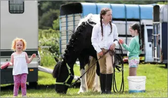  ?? Photo Domnick Walsh ?? Lilly Feehan , Sarah Jane Feehan and Millie Raggett from Kilmoyley tend to Buster the pony at the Blennervil­le pony show on Sunday.