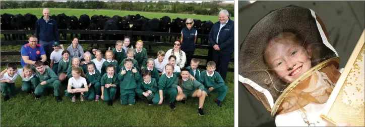  ??  ?? Gorey Central School class explore life on the farm. Tara Horan gives bee keeping a try at Country Crest farm.