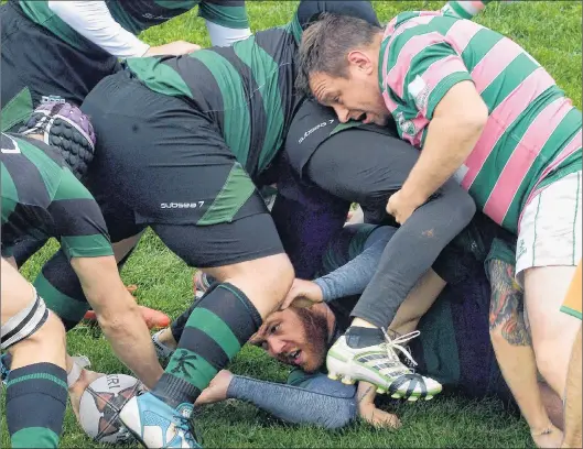  ?? KEITH GOSSE/THE TELEGRAM ?? Jordon Power of the Dogs passes off the ball to teammate Matt Murphy (wearing the scrum cap) as Colin Hearns of Swilers (striped jersey) throws his body on the pile during play in the Goodyear Cup St. John’s senior A men’s rugby final Saturday at the...