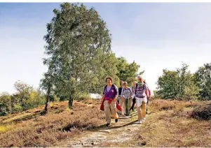  ??  ?? Die Maasduinen sind ein beliebtes Ziel für Wanderer in Limburg. Wunderschö­n ist auch der Marktplatz in Roermond, von dem aus ein virtueller Archäologe Besucher an sieben geschichts­trächtige Orte führt.