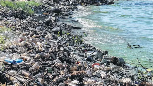  ?? SUBMITTED PHOTO ?? Experts are calling for internatio­nal action to stop the millions of tonnes of plastics duped into the oceans every year.