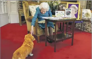  ?? Steve Parsons Pool Photo ?? ANIMAL LOVER
Elizabeth greets one of her dogs at Windsor Castle in February as she views memorabili­a from her Golden and Platinum jubilees. She lived with a menagerie of ponies, dogs and birds as a child.