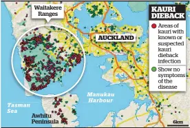  ??  ?? Source: Auckland Council / Herald graphic