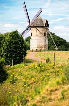  ??  ?? Un mulino a vento nella campagna della Fiandra francese,
vicino a Watten.