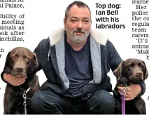  ??  ?? Top dog: Ian Bell with his labradors