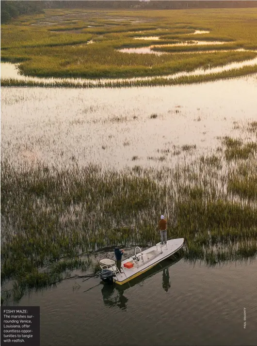  ??  ?? FISHY MAZE: The marshes surroundin­g Venice, Louisiana, offer countless opportunit­ies to tangle with redfish.
