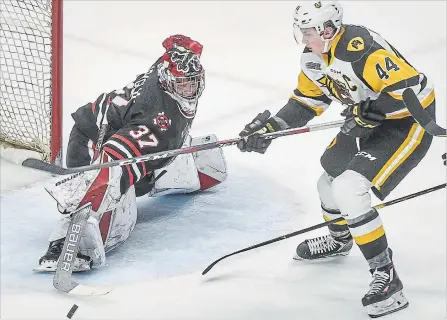  ?? SCOTT GARDNER THE HAMILTON SPECTATOR ?? Niagara goalie Christian Sbaraglia pokes the puck away from a charging Hamilton captain Mackenzie Entwistle during OHL action between the IceDogs and the Bulldogs at FirstOntar­io Centre on Sunday. Sbaraglia notched his first OHL win as the IceDogs beat the Bulldogs, 5-1.