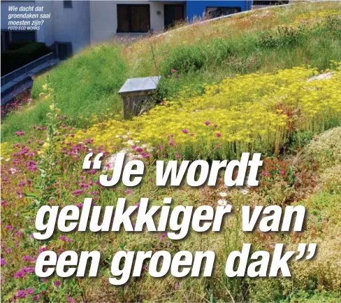  ?? FOTO ECO WORKS ?? Wie dacht dat groendaken saai moesten zijn?