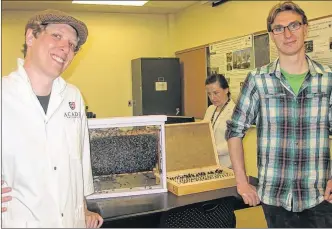  ?? WENDY ELLIOTT ?? Andrew Collins, left, and Mike Light are Acadia University students looking into pest resistance related to honey bees.