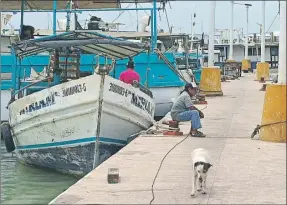  ?? ?? Armadores dicen que las bitas son chicas y bajas en los muelles de Yucalpetén que se reconstruy­eron