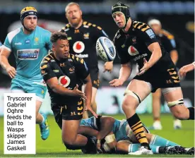  ??  ?? Tryscorer Gabriel Oghre feeds the ball to Wasps skipper James Gaskell