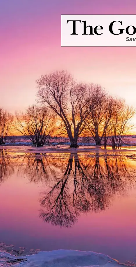  ??  ?? Muddy Creek meanders through marsh and sedge meadows that disappear underwater with spring’s snowmelt.