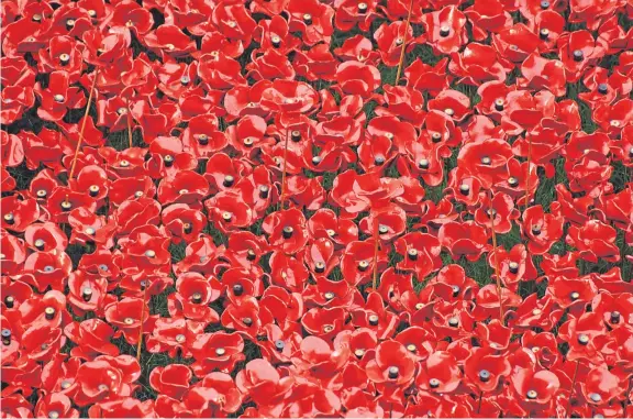  ??  ?? Sea of poppies: The 100th anniversar­y tomorrow of the end of the First World War will be marked by Armistice services across the country.