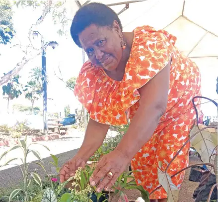  ?? Photo: Laiseana Nasiga ?? Vani Ralolokula setting up her pot plants in Suva on May 5, 2022.