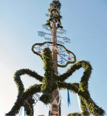  ?? Archivfoto: Szilvia Izsó ?? Ein wunderschö­nes Exemplar aus Balgheim: Dieses Archivfoto zeigt den Maibaum des Ortes von 2018. In diesem Jahr hat das Landratsam­t das Aufstellen von Maibäumen sowie Maifeiern untersagt.