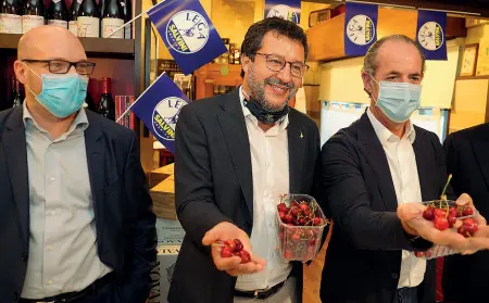  ??  ?? Insieme Nella foto, da sinistra, il commissari­o regionale Lorenzo Fontana, Matteo Salvini e Luca Zaia durante il «patto delle ciliegie» a Verona