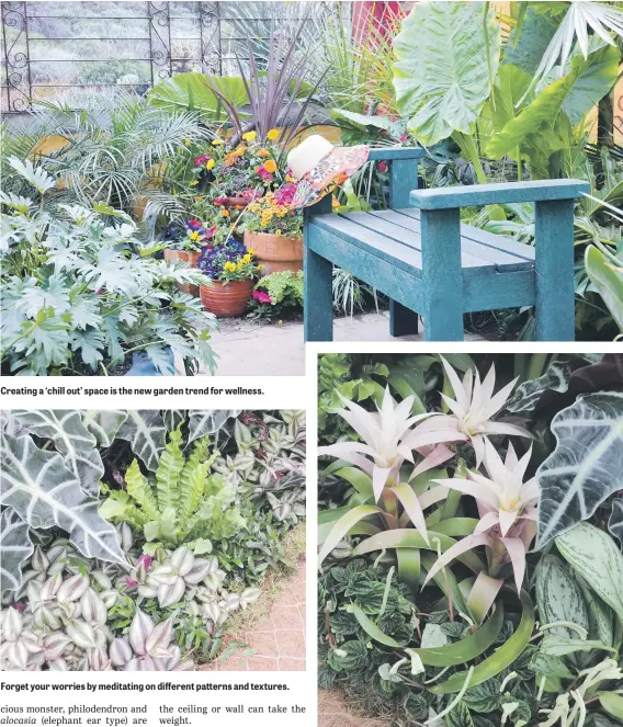  ??  ?? Creating a ‘chill out’ space is the new garden trend for wellness. Forget your worries by meditating on different patterns and textures. Choose plants for their air purifying abilities, like