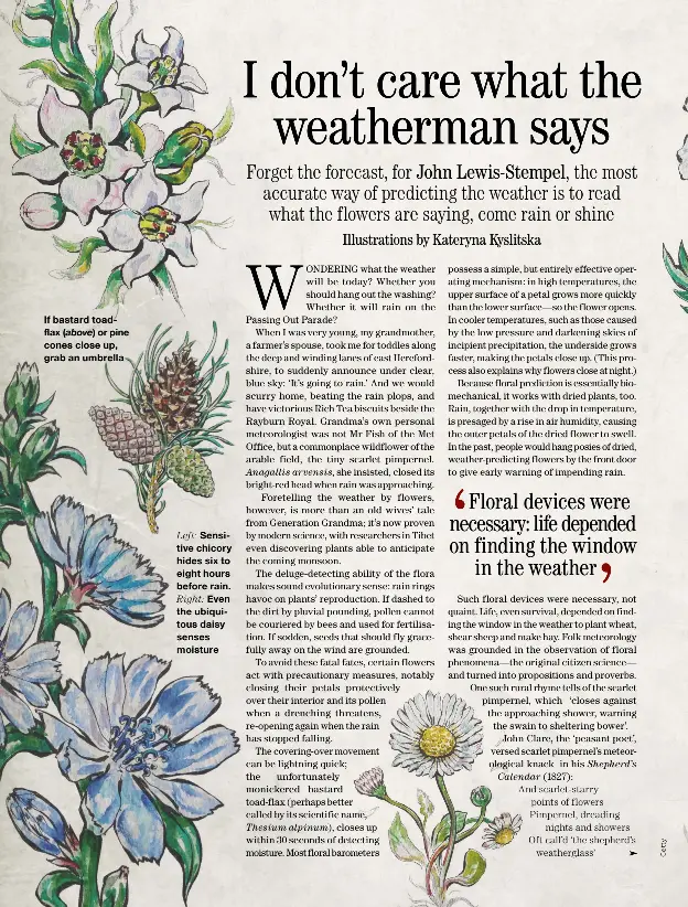 I Don T Care What The Weatherman Says Pressreader